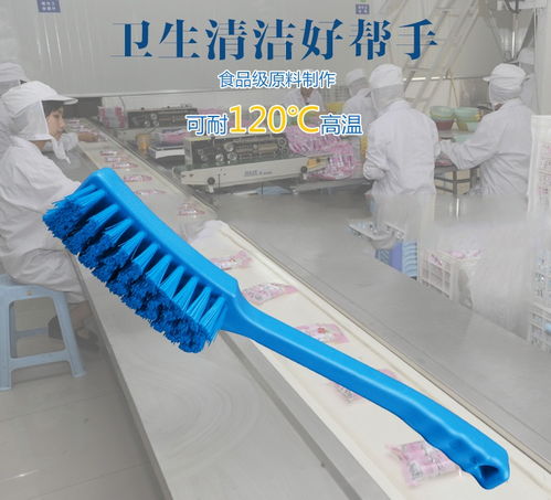 多用途刷2221 食品餐廚清潔擦拭的專業(yè)助手